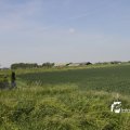 IMG_1146185