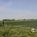 IMG_1146186