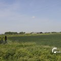 IMG_1146187