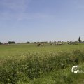 IMG_1146288
