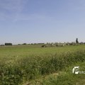 IMG_1146289