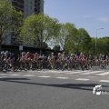 IMG_1146445