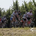 IMG_1144841