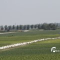 IMG_1145004