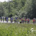 IMG_1145010