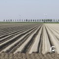 IMG_1145020