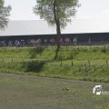 IMG_1145038