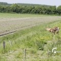 IMG_1145048