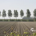 IMG_1145077