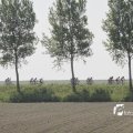 IMG_1145083