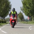 IMG_1145118