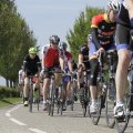 IMG_1145150