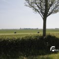 IMG_1145187
