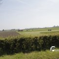 IMG_1145188