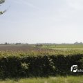 IMG_1145189