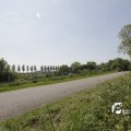 IMG_1145228