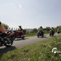 IMG_1145231