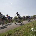 IMG_1145246