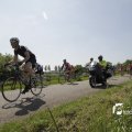 IMG_1145254