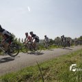 IMG_1145264