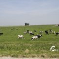 IMG_1145281