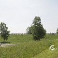 IMG_1145288