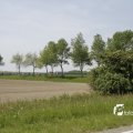 IMG_1145292