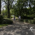 IMG_1145471