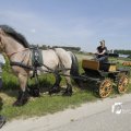 IMG_1145489