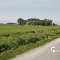 IMG_1145502