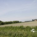 IMG_1145504