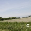 IMG_1145505