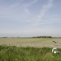IMG_1145514