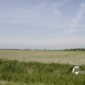 IMG_1145515