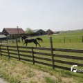 IMG_1145519