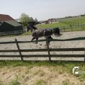 IMG_1145524