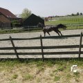 IMG_1145525