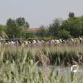 IMG_1145563