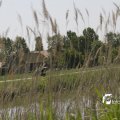IMG_1145572