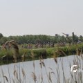 IMG_1145573