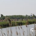 IMG_1145574