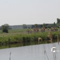 IMG_1145575