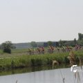 IMG_1145576