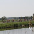 IMG_1145577