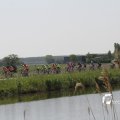IMG_1145578