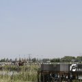 IMG_1145633