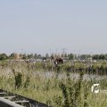 IMG_1145634