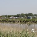IMG_1145638
