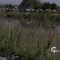 IMG_1145639