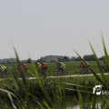 IMG_1145648
